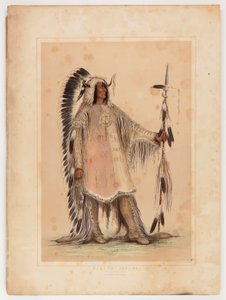 Mah-to-toh-pa, le chef des Mandans - George Catlin