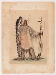 Mah-to-toh-pa, le chef des Mandans - George Catlin