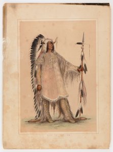 Mah-to-toh-pa, le chef des Mandans - George Catlin