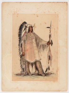 Mah-to-toh-pa, le chef des Mandans - George Catlin