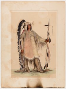 Mah-to-toh-pa, le chef des Mandans - George Catlin