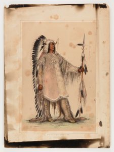 Mah-to-toh-pa, le chef des Mandans - George Catlin