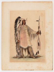 Mah-to-toh-pa, le chef des Mandans - George Catlin