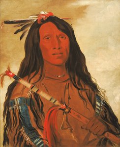 Né-hee-ó-ee-wóo-tis, Loup sur la colline, Chef de la tribu