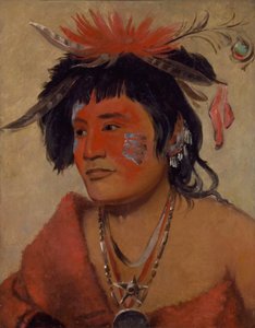 Pah-shee-náu-shaw, un guerrier - George Catlin
