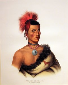Chef Pawnee Pes Ke Le Cha Co - George Catlin