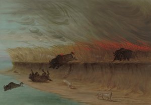 Prairies en feu, 1861-1869 - George Catlin