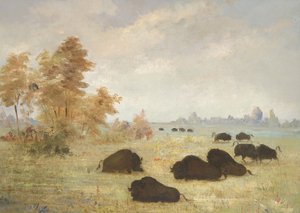 Traque aux buffles, Arkansas - George Catlin
