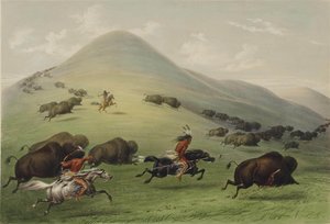 La Chasse au Bison