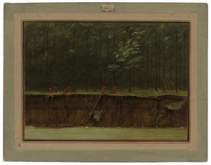 Vue du bas Mississippi