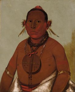 Wa-sáw-me-saw, le tonnerre rugissant, le plus jeune fils de Black Hawk - George Catlin