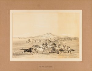 Les chevaux sauvages au jeu--no. 3 - George Catlin