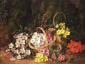 Fleurs de printemps dans des paniers