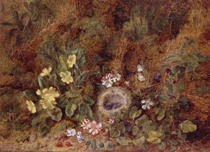 Nature Morte avec Nid d