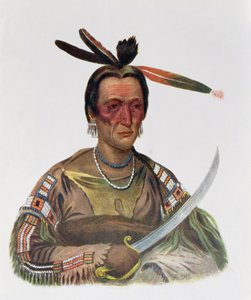 To-Ka-Cou, chef Sioux Yankton, 1837, illustration de 