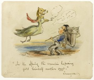 Au printemps, le Vanneau de la Wanton s