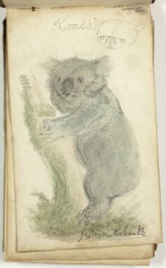 Carnet de croquis