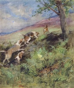 Illustration pour The Story of a Red Deer - George Denholm Armour
