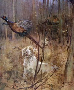 Chasse au faisan à l
