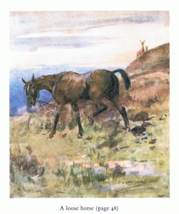 Le cheval en liberté - George Denholm Armour