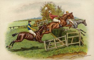 Chevaux de course sautant une haie