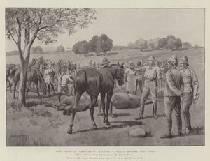 Le Siège de Ladysmith, abattage des chevaux de cavalerie pour la nourriture