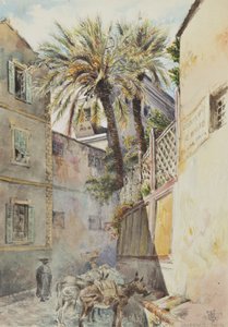 San Remo, 15 janvier 1878 - George Douglas Tinling