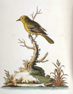 Illustration à l