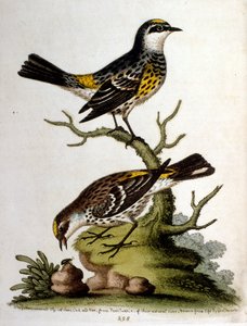 Illustration à l