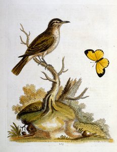 Illustration à l