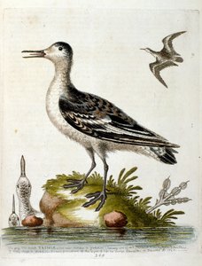 Illustration à l