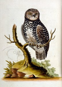 Illustration à l
