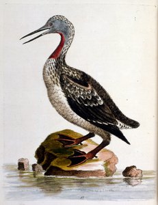 Illustration à l