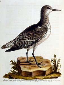 Illustration à l