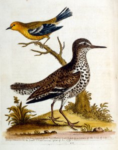 Illustration à l