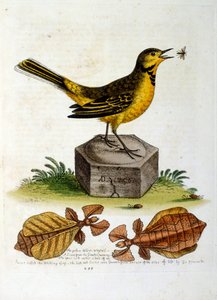 Illustration à l