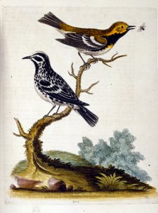 Illustration à l