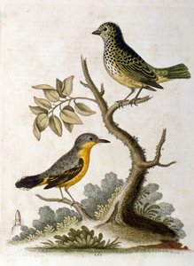 Illustration à l