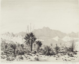 Un mirage, Arizona - George Elbert Burr
