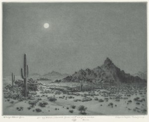 Nuit en Arizona - George Elbert Burr