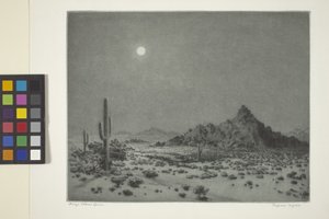 Nuit en Arizona - George Elbert Burr