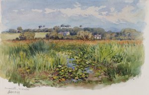 Criccieth, N. Pays de Galles
