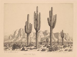 Sentinelles du désert, Apache Trail, Arizona - George Elbert Burr