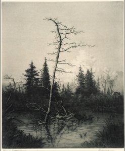 Soirée