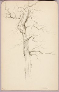 Hickory - George Elbert Burr