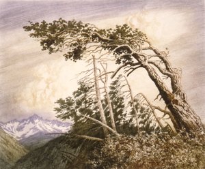 La maison des vents [No. 2] - George Elbert Burr