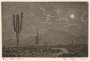 Clair de lune-Phoenix - George Elbert Burr