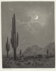 Nouvelle lune et étoile du soir - George Elbert Burr