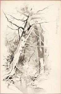 Oak Cliff, Dallas - George Elbert Burr