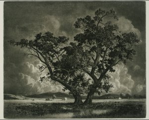 Old Cottonwoods, Colorado - George Elbert Burr